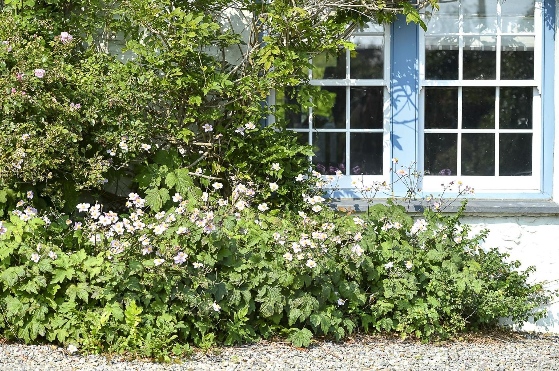 Pen Y Bryn Villa Abersoch Exterior foto