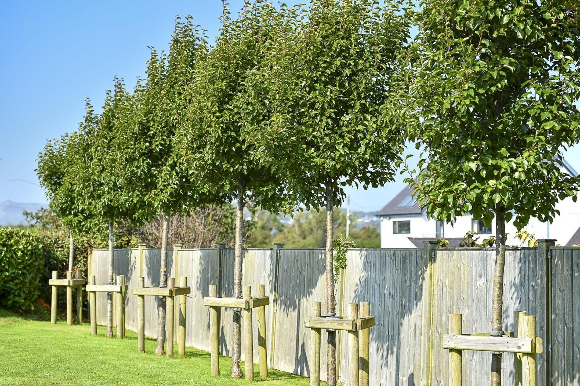 Pen Y Bryn Villa Abersoch Exterior foto
